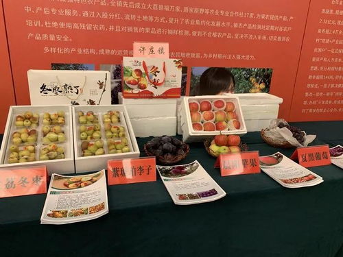 大荔冬棗進軍上海市場 簽訂農產品購銷協議5.3萬噸