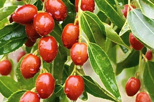 河北,你最牛逼的家鄉