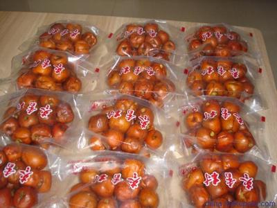 棗香村特產黃驊無核酥脆冬棗 批發零售指南與圖片展示