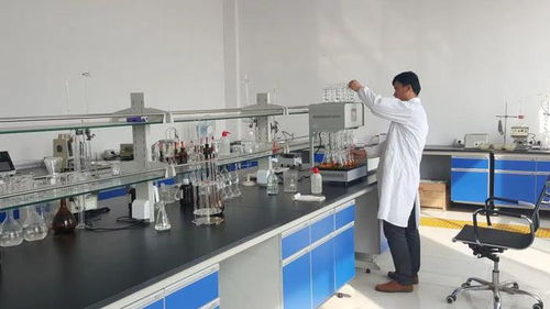 東營港經濟開發區 以企業技術改造為抓手，驅動產業轉型升級與技術開發新突破